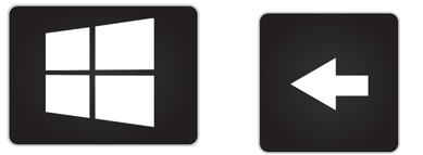 Windows Key & Arrow (left)