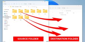 How to Move Files from Multiple Folders to one Folder
