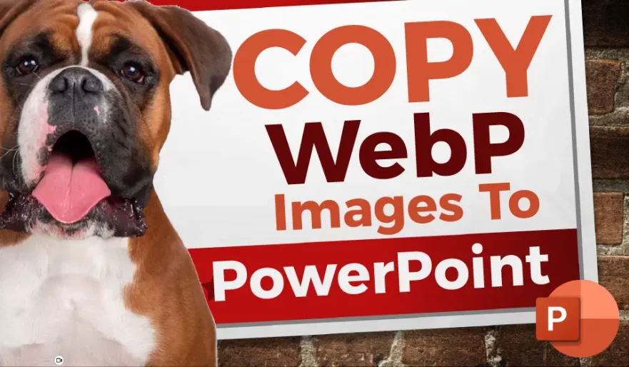 Copy and paste webp files into PowerPoint, Word, Photoshop